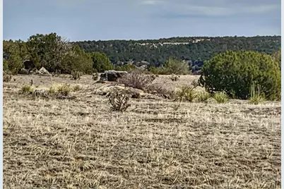 Lot 80 Turkey Ridge Ranch, Walsenburg, CO 81089 - Photo 4