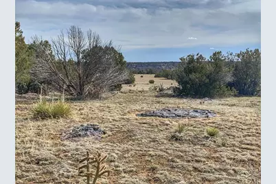 Lot 80 Turkey Ridge Ranch, Walsenburg, CO 81089 - Photo 4