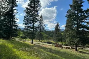 8840 Pine Dr, Beulah, CO 81023 - Photo 48