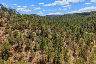 7880 Old Sopris Rd, Trinidad, CO 81082 - Photo 46