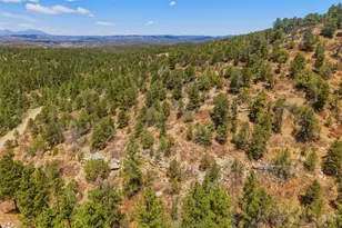 7880 Old Sopris Rd, Trinidad, CO 81082 - Photo 44