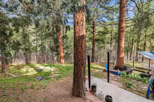 9020 Pine Ave, Beulah, CO 81023 - Photo 8