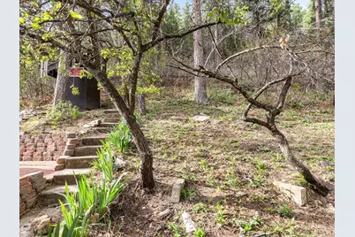 9020 Pine Ave., Beulah, CO 81023 - Photo 4