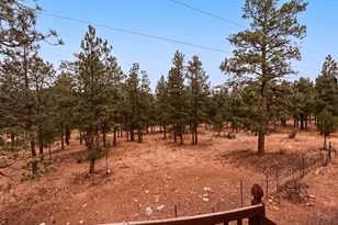 6892 Hwy 12, Weston, CO 81091 - Photo 38