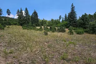 6738 Greenhorn Mountain Dr, Beulah, CO 81023 - Photo 6