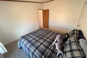 7937 Mt Baldy Dr, Rye, CO 81069 - Photo 14
