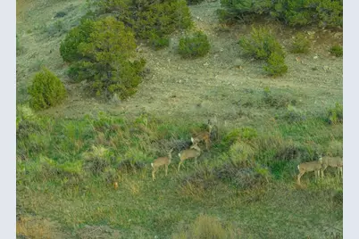 640 County Rd 571, Gardner, CO 81040 - Photo 6