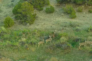 640 County Rd 571, Gardner, CO 81040 - Photo 6