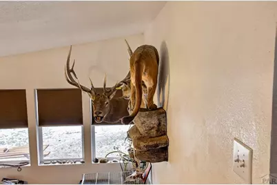 640 County Rd 571, Gardner, CO 81040 - Photo 12