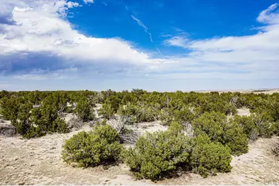 241 Morning Star Rd, Rye, CO 81069 - Photo 2