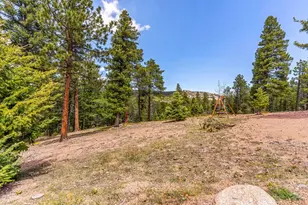 10 Robert Rd, Rye, CO 81069 - Photo 74