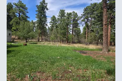 8229 Green Lane, Rye, CO 81069 - Photo 2