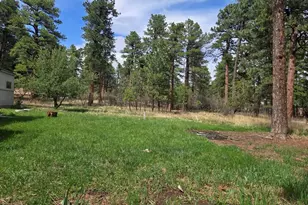 8229 Green Ln, Rye, CO 81069 - Photo 2