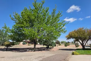 480 S Tejon Ave, Pueblo West, CO 80117 - Photo 22