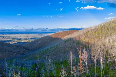 600 Acres No Site Address, La Veta, CO 81055 - Photo 34