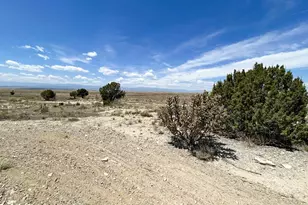 307 S Montecito Dr, Pueblo West, CO 81007 - Photo 18