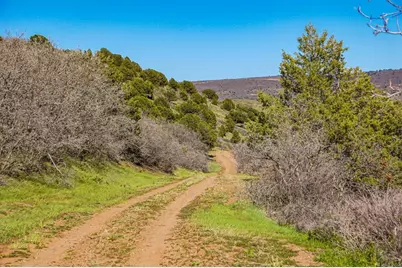 Tbd Rilling Canyon Rd, La Veta, CO 81055 - Photo 32