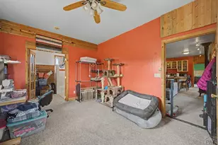571 Saddle Trail, Hartsel, CO 80449 - Photo 18