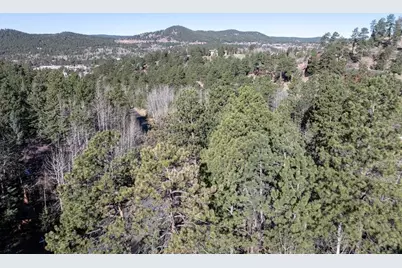 951 Kings Crown Rd, Woodland Park, CO 80863 - Photo 28