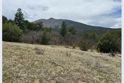 000 Pass Creek Rd, Gardner, CO 81040 - Photo 8