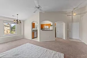 3747 Riviera Grove, Colorado Springs, CO 80922 - Photo 4