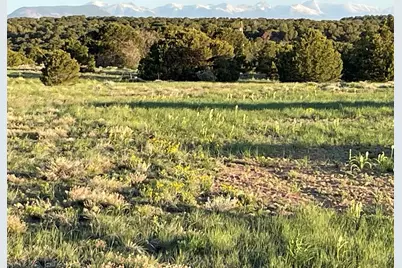 87 Comanche Dr, Walsenburg, CO 81089 - Photo 8