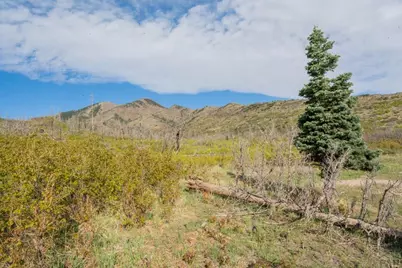 2004 Bear Springs Rd, Walsenburg, CO 81089 - Photo 30