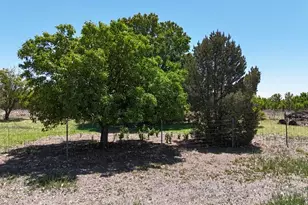34716 Co Rd 31, La Junta, CO 81050 - Photo 36