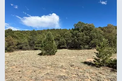 96 River Ridge Rd, Walsenburg, CO 81089 - Photo 2