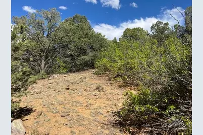 96 River Ridge Rd, Walsenburg, CO 81089 - Photo 22