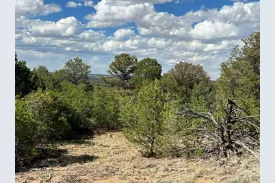 96 River Ridge Rd, Walsenburg, CO 81089 - Photo 6