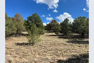 96 River Ridge Rd, Walsenburg, CO 81089 - Photo 14
