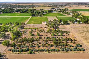 20330 Road Ee, Rocky Ford, CO 81067 - Photo 54