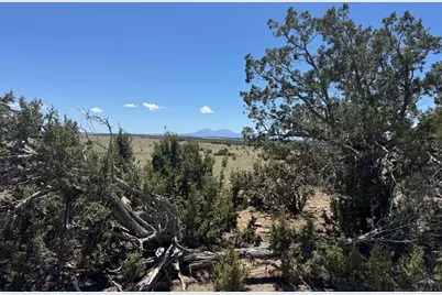 169 Tyrone Hills, Walsenburg, CO 81089 - Photo 6