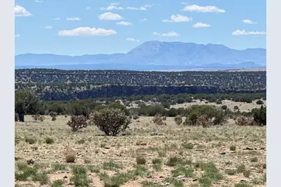 169 Tyrone Hills, Walsenburg, CO 81089 - Photo 2