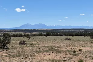 169 Tyrone Hills, Walsenburg, CO 81089 - Photo 1