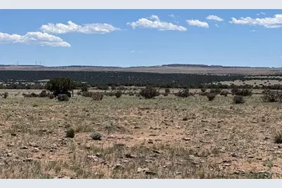 169 Tyrone Hills, Walsenburg, CO 81089 - Photo 14