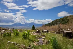 Tbd Tres Valles West, La Veta, CO 81055 - Photo 1