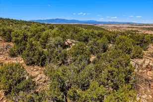 801 Turkey Ridge Rd, Walsenburg, CO 81089 - Photo 54