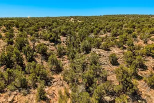 801 Turkey Ridge Rd, Walsenburg, CO 81089 - Photo 56
