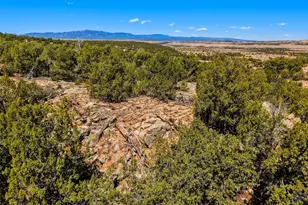 801 Turkey Ridge Rd, Walsenburg, CO 81089 - Photo 50