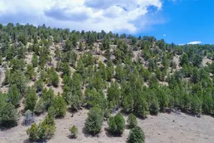 24351 Co Rd 54 2, Aguilar, CO 81020 - Photo 50