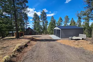 87 Bonanza Cir, Florissant, CO 80816 - Photo 22