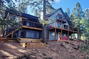 87 Bonanza Cir, Florissant, CO 80816 - Photo 1
