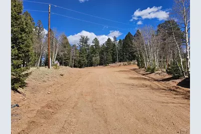 87 Bonanza Circle, Florissant, CO 80816 - Photo 26