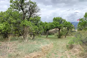 4920 W County Rd 650, Rye, CO 81069 - Photo 34