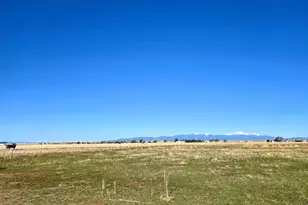 23315 Bunny View, Calahan, CO 80808 - Photo 42