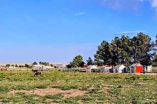 23315 Bunny View, Calahan, CO 80808 - Photo 36