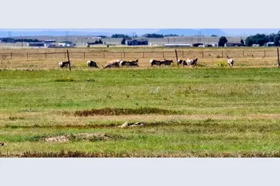 23315 Bunny View #7, Calahan, CO 80808 - Photo 38