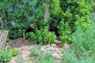 505 W 10th St, Walsenburg, CO 81089 - Photo 8